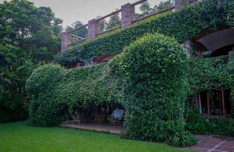 Le detrazioni fiscali per realizzare un giardino o terrazzo verde