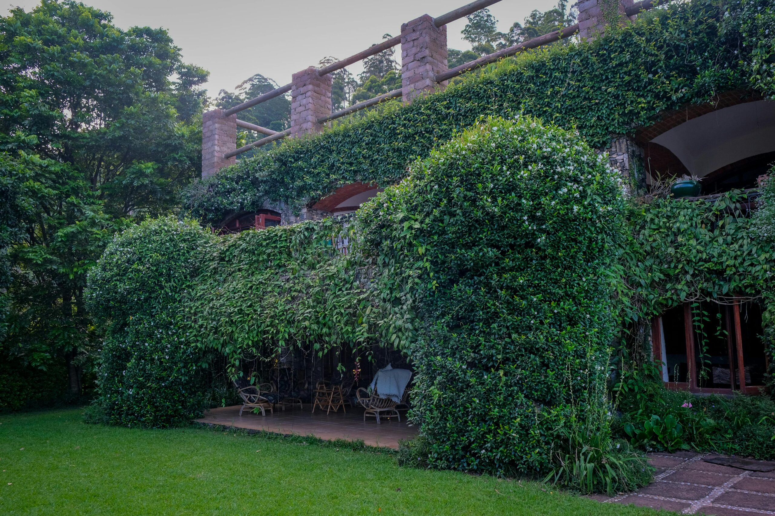 Le detrazioni fiscali per realizzare un giardino o terrazzo verde